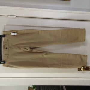 Mens Gap Chiino Pants
